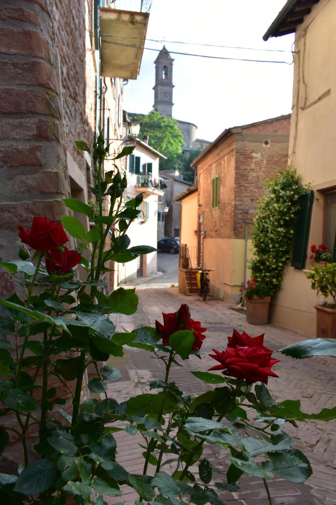 Ciliano 16 Apartment