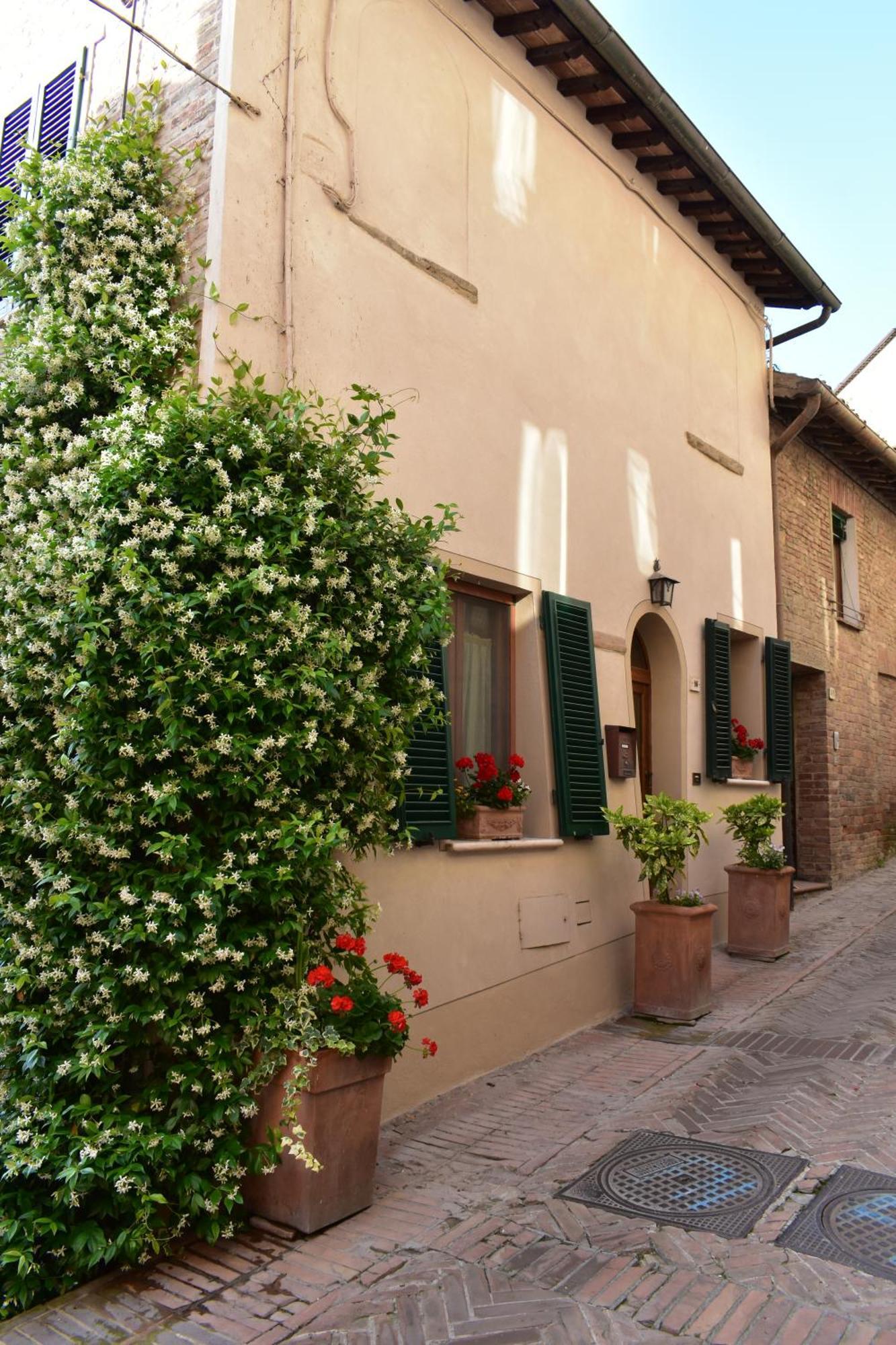 Ciliano 16